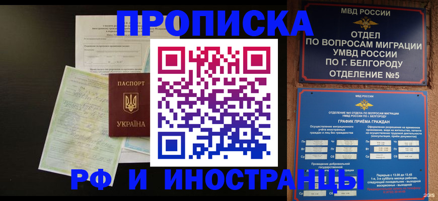 прописка в Окуловке